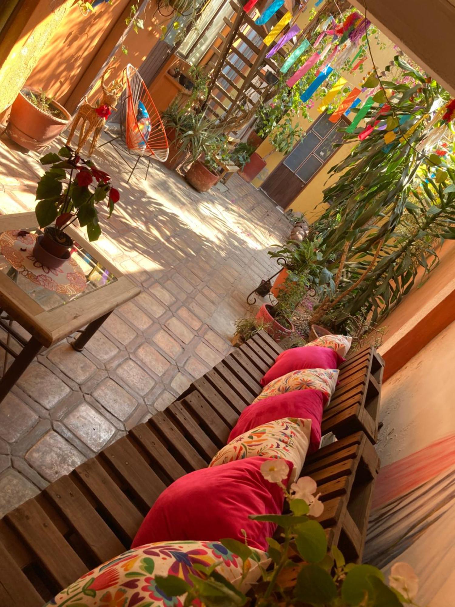 Calida Habitacion A 10 Min De Santo Domingo オアハカ州 エクステリア 写真